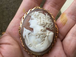 Exquisite Large Antique Victorian 9ct Gold Shell Cameo Brooch Boxed 2