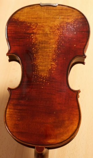 Old Violin 4/4 Geige Viola Cello Fiddle Label Farotto Celestino