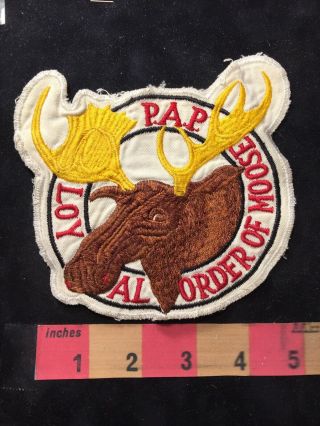 Vtg & Kinda Big Pap Loyal Order Of The Moose Patch - Fraternal Organization 89xb