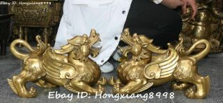China Pure Bronze Fengshui Dragon Pixiu Beast Brave Troops Animal Statue Pair