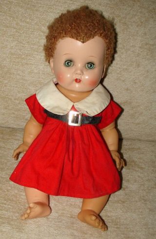 Vintage 14 " Ideal Betsy Wetsy Baby Doll,  Caracul Wig,  1950 