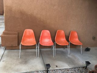 4 Vtg Eames Herman Miller Pale Yellow Fiberglass Shell Chairs Mid Century Rare