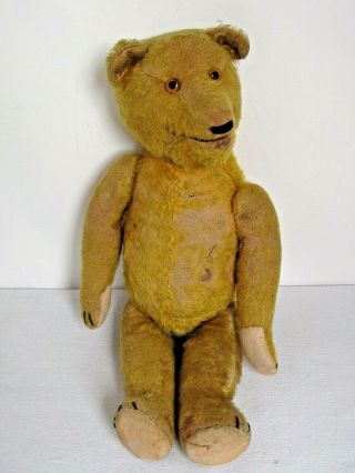 Antique Rare Teddy Roosevelt Laughing Bear With Teeth C.  1907 19 "