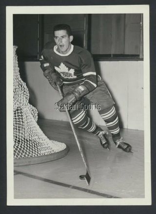 Turofsky - Bill Harris Toronto Maple Leafs 1961 Vintage Nhl Hockey Press Photo