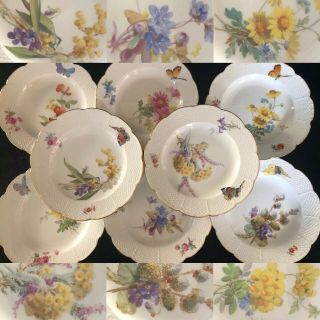 8 Antiques Meissen Porcelain Plates Art Nouveau Naturalistic B