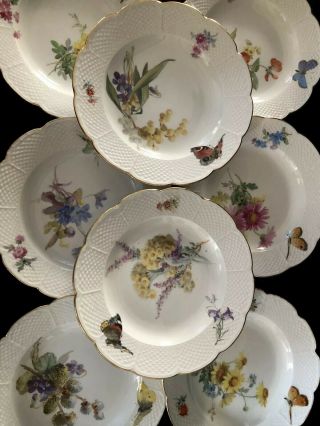 8 Antiques meissen porcelain Plates Art Nouveau Naturalistic B 3