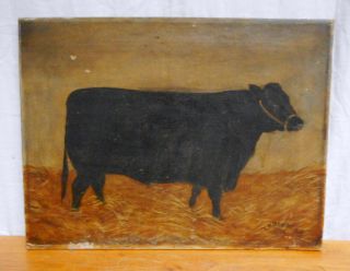 Antique Folk Art Painting Black Cow Signed T.  W.  Baharie S.  A.  1902