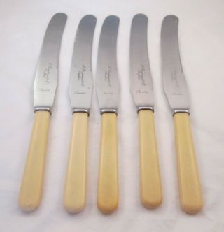 Vintage Set Of 5 Dinner Knives With Faux Bone Handles - Brooksbank,  Sheffield