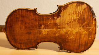 Old Violin 4/4 Geige Viola Cello Fiddle Label Gaetano Gadda