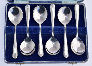 Boxed Set Of 6 Vintage Rodd Silver Plate Nemesia Soup Or Dessert Spoons