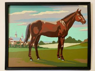Vintage Paint By Number Horse Equestrian Theme Framed 11 " X 14 "