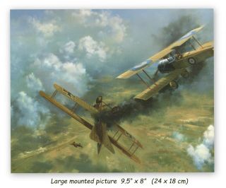 Lanoe Hawker Bristol Scout 6 Squadron In Action 1915 Large Vintage War Picture