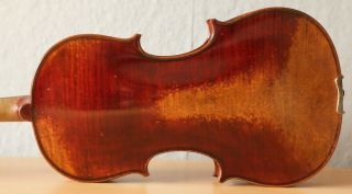 Old Violin 4/4 Geige Viola Cello Fiddle Label Leandro Bisiach