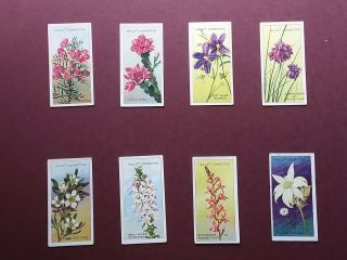 Australian Wild Flowers (specialities) Issued 1913 By Wills O/s Set 50