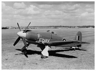 Sea Fury X Tf906 1947 Photograph Rare
