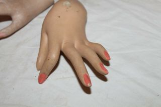 Vintage Mannequin Female Left Hand with painted nails,  bent wrist 2