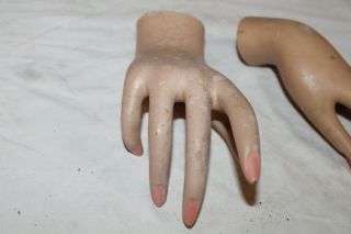 Vintage Mannequin Female Left Hand with painted nails,  bent wrist 3