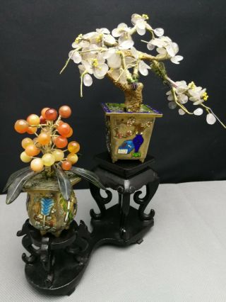impressive 20th antique Old Chinese Cloisonne plant 2