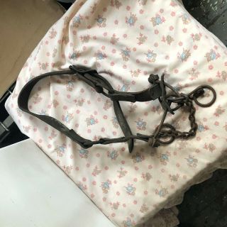 Vintage Draft Horse Bridle Bit Harness Leather And Steel