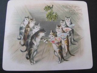 Vintage Antique Dancing Cats Under Mistletoe,  Christmas Card,  Paper Board