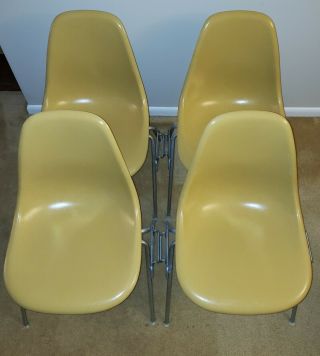 4 Vintage Eames Herman Miller Light Yellow Fiberglass Shell Chairs Mid Century