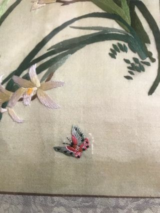 Chinese Embroidered Silk Framed Picture Blossom & Butterfly Oriental Vintage 3