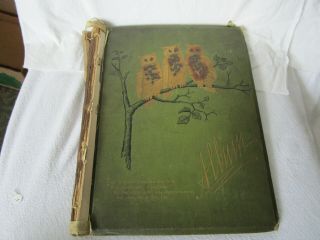 Circa 1880 Antique Victorian Trade Card Album With 63 Trade Cards Plus Others