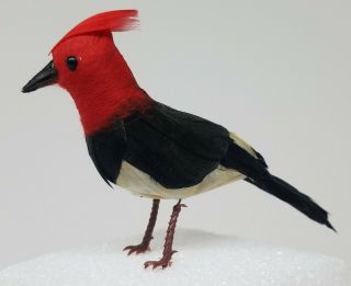 Vintage Red Headed Wood Pecker Ornament W/ Wired Feet & Feathers - Christmas - 5 "