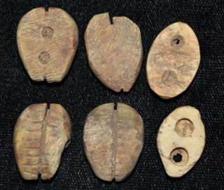 Set Of 6 Ancient Chinese " Cowrie Shell " Money Coins/beads 1750 - 1150 Bc N8