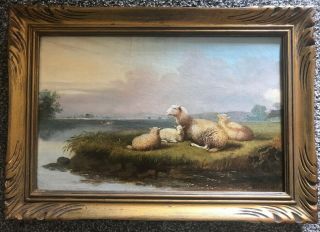 Antique Oil On Canvas Dutch Painting Of Sheep By Van Dienen 19 C