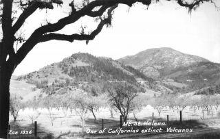 Rppc Mt.  St.  Helena,  Napa County,  California Zan Photo Ca 1940s Vintage Postcard