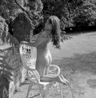 Barbara Halks Vintage Nude By Harrison Marks - Negative