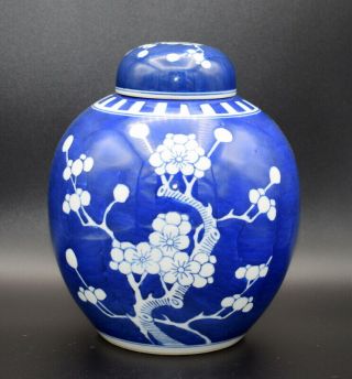 Vintage 8 " 1/4 Chinese Porcelain Blue And White Prunus Blossom Ginger Jar & Lid