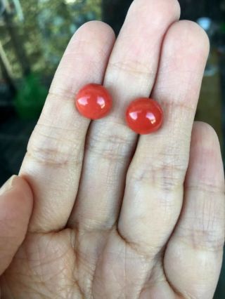 Antique Old Stock Natural Red Coral Earrings 18k Gold