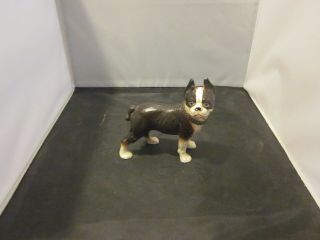 Antique Cast Iron Boston Terrier Dog With Chain Collar