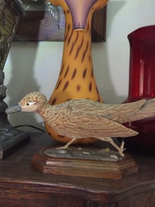Exceptional Vintage Hand Carved Road Runner Bird