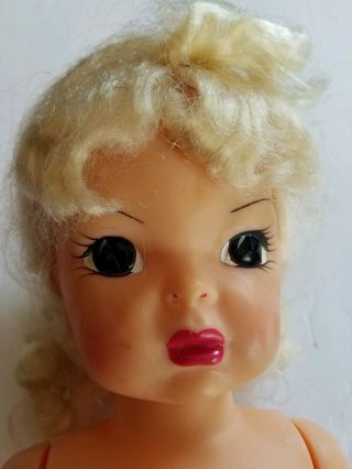 Vintage 1950 ' s Terri Lee Doll in Trunk with Large Wardrobe 2