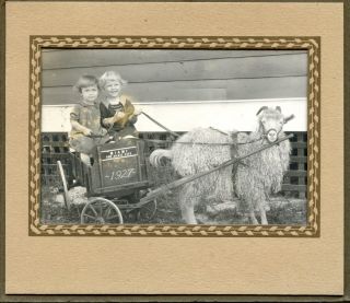 Old Vintage B/w Photo Two Children In Cart Pulled By Goat Miami 1927 Magic City