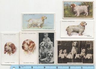 Clumber Spaniel Dog Pet Canine 7 Different Vintage Ad Trade Cards 4