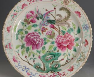 A Straits Chinese Nyonya Peranakan Famille Rose Plate 19thC 3
