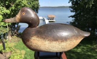 Vintage Mason Snakey Head Premier Grade Hen Bluebill Duck Decoy Paint