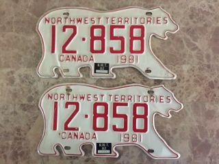 Canadian License Plates - Very Rare Vintage - Nw Territories - Bear Shaped