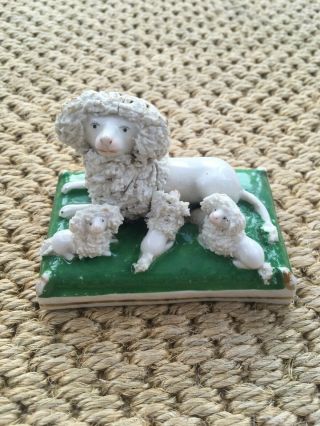 Rare 19thc Antique Staffordshire Porcelain Poodle With Pups On Cushion Greenbase
