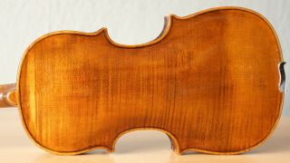 Old Violin 4/4 Geige Viola Cello Fiddle Label Augusto Liorni