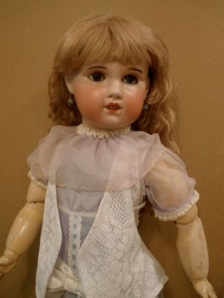 Huge Antique 31 " French Jumeau Socket Head Doll,  Body