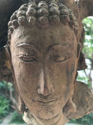 Tibetan Chinese Antique Hand Carved Wooden Sculpture Statue 19c Buddha