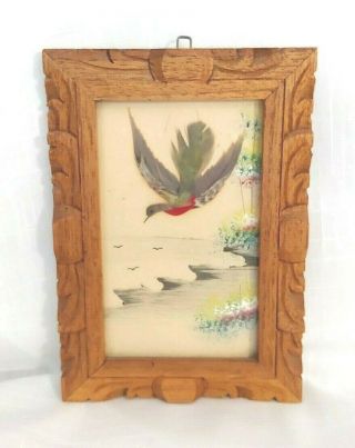 Vintage Mexico Folk Art Bird/ Feather Picture Painted Dove Rare