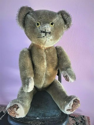 Charming Antique 16 " Straw Filled Mohair Teddy Bear