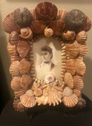 Antique Victorian Sea Shell Art Framed Victorian Lady