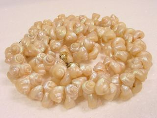Vintage 1940s Hawaiian Iridescent Pearly Pink Trochus Tiny Shell Necklace 17 " L